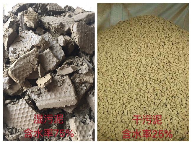 世界級(jí)企業(yè)廣汽豐田攜手中國(guó)第一品牌深圳德爾科污泥干化設(shè)備(圖5)